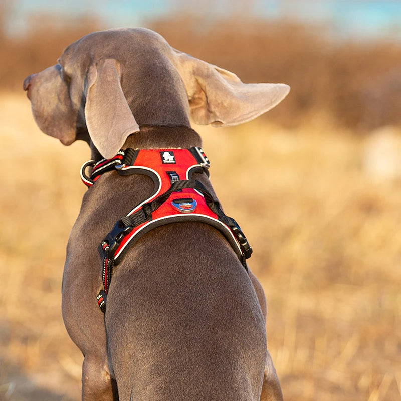 Truelove Reflective Nylon No Pull Adjustable Walking Harness
