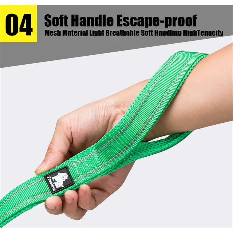 Truelove Soft Padded Reflective Nylon Mesh Dog Leash