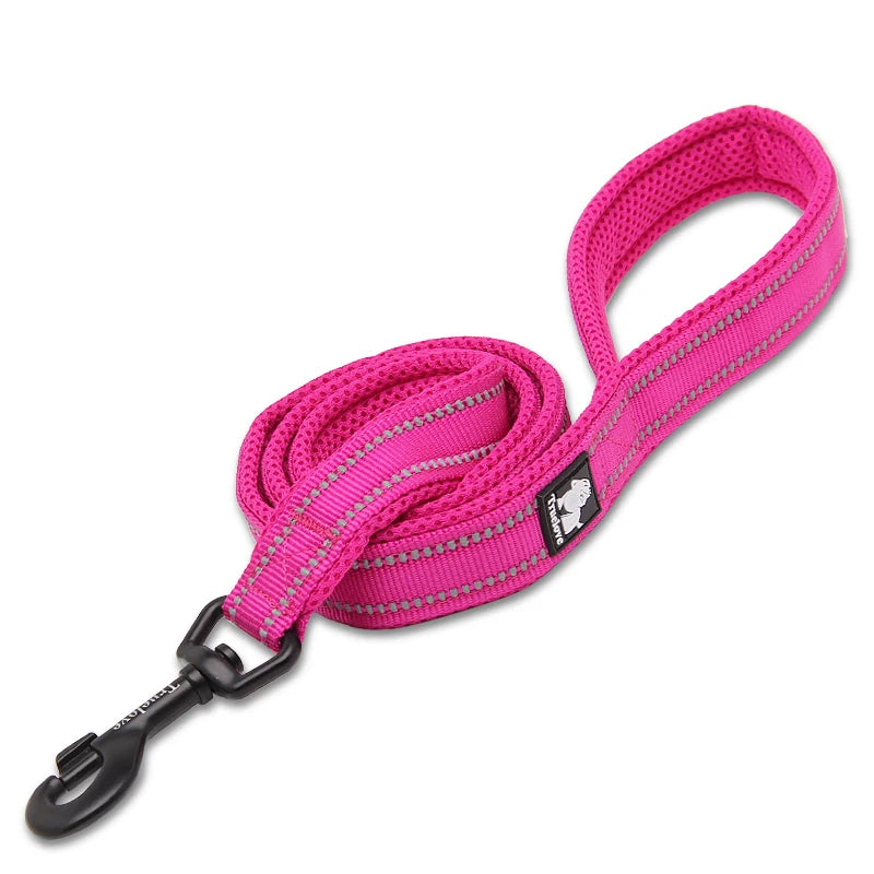 Winhyepet Luxury Padded Handle Reflective Nylon Dog Leash