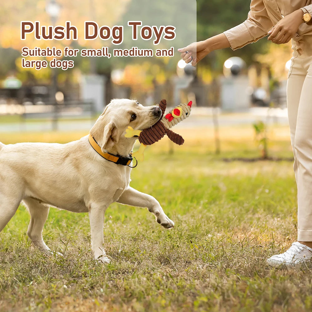 Plush Squeaky Dog Toys Assortment Soft Chew Collection