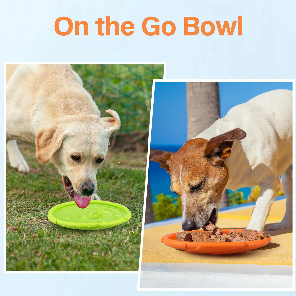 Durable Rubber Dog Flying Disc for Water and Beach Play