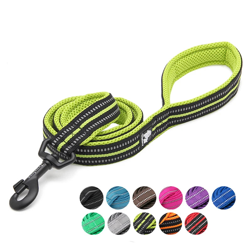 Winhyepet Luxury Padded Handle Reflective Nylon Dog Leash
