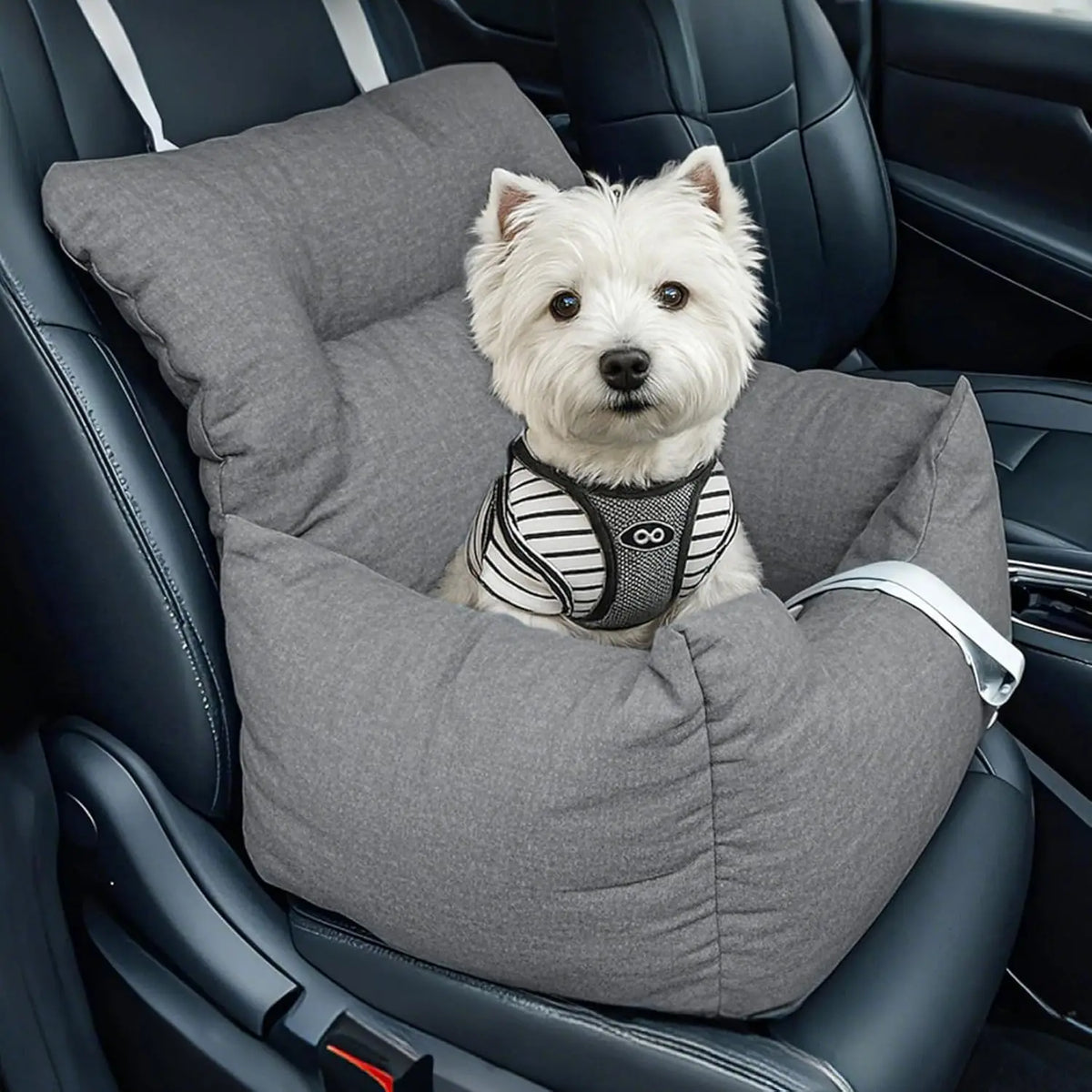 HiMISS Elevated Dog Booster Car Seat Bed With Safety Tether