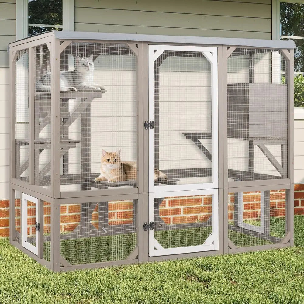 Wooden Outdoor Cat Enclosure With Multiple Platforms And Resting Boxes