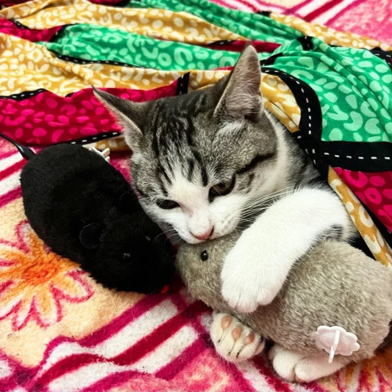 Automatic Battery Free Pet Tail Chaser Interactive Cat Dog Toy