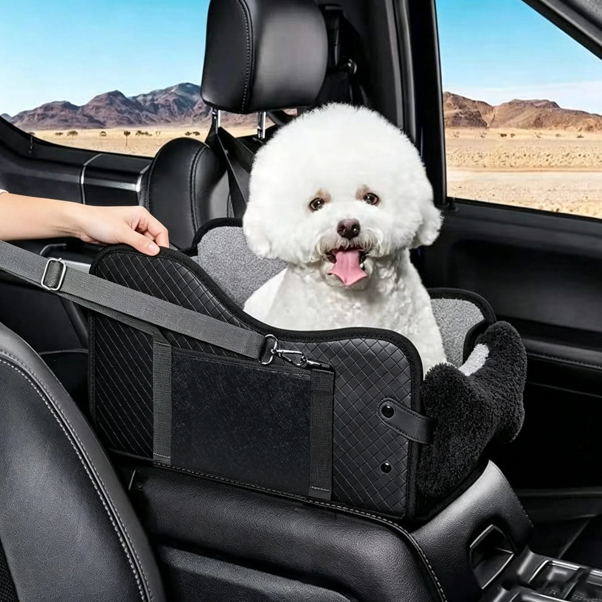 Pet Car Booster Seat For Small Dogs With Safety Leash