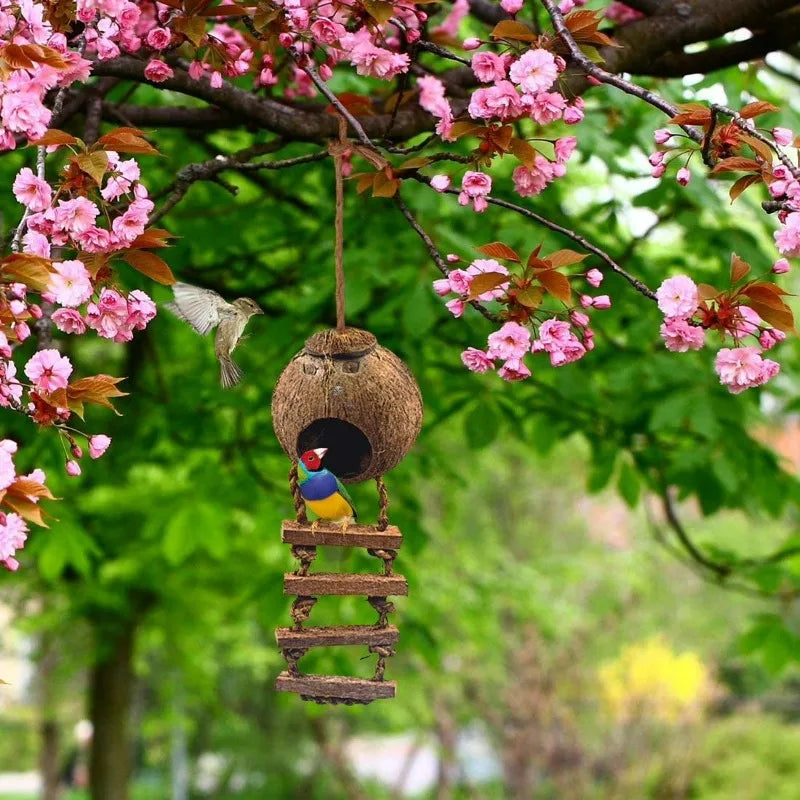 Coconut Shell Hanging Bird House With Ladder And Treat Holder