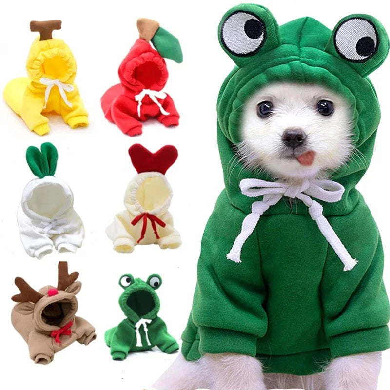 Cute Fruit Frog Pet Hoodie Costume for Dogs and Cats
