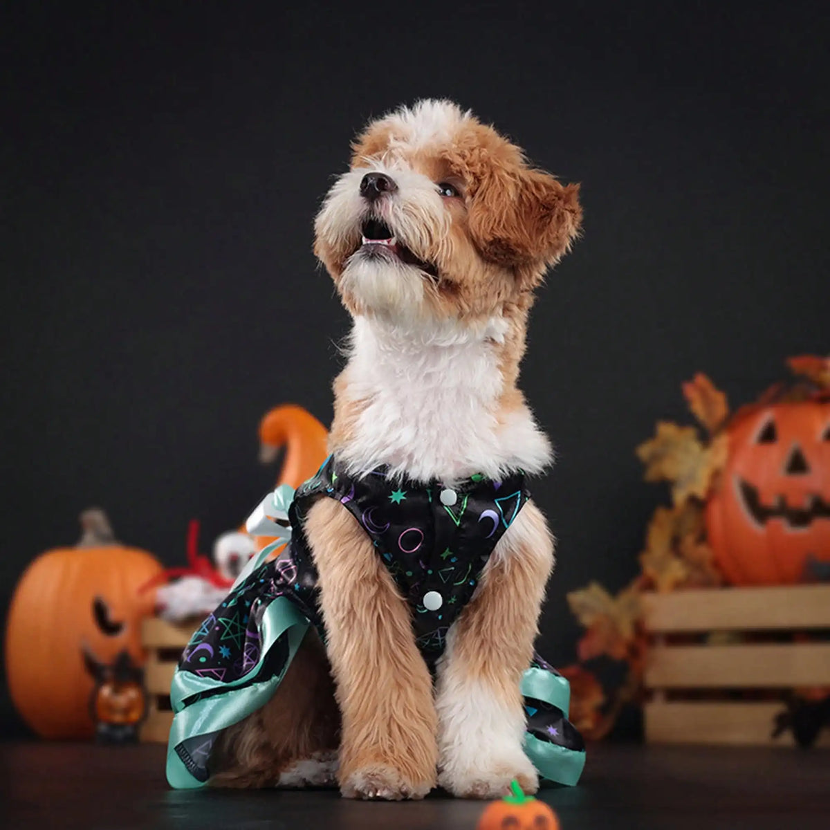 Halloween Pet Dog Dress With Pumpkin Skull Print Bowknot