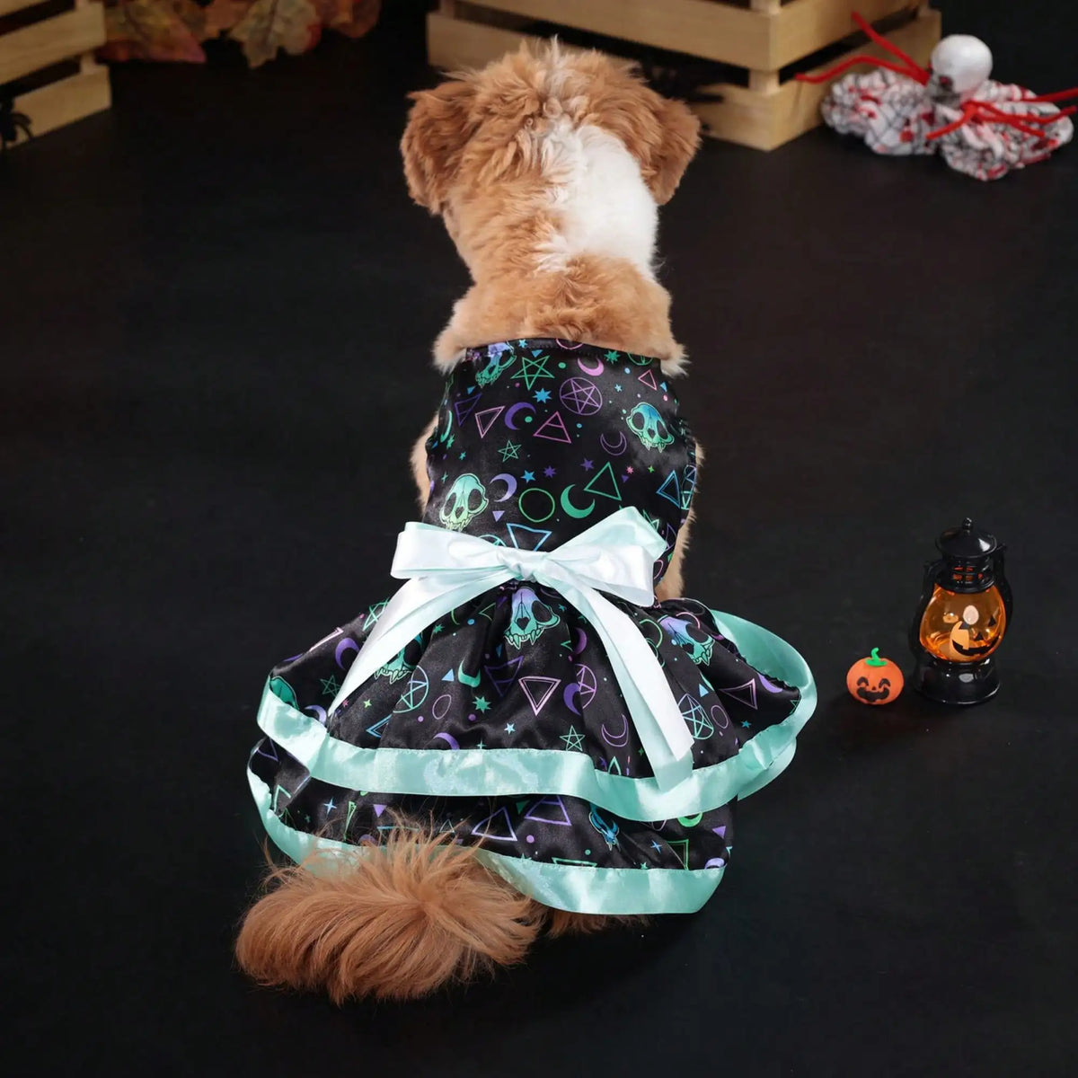 Halloween Pet Dog Dress With Pumpkin Skull Print Bowknot