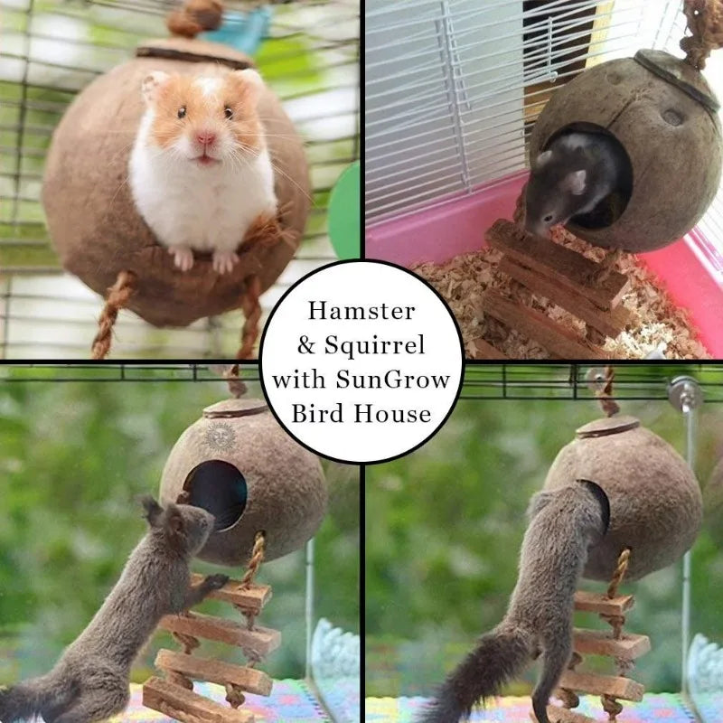 Coconut Shell Hanging Bird House With Ladder And Treat Holder