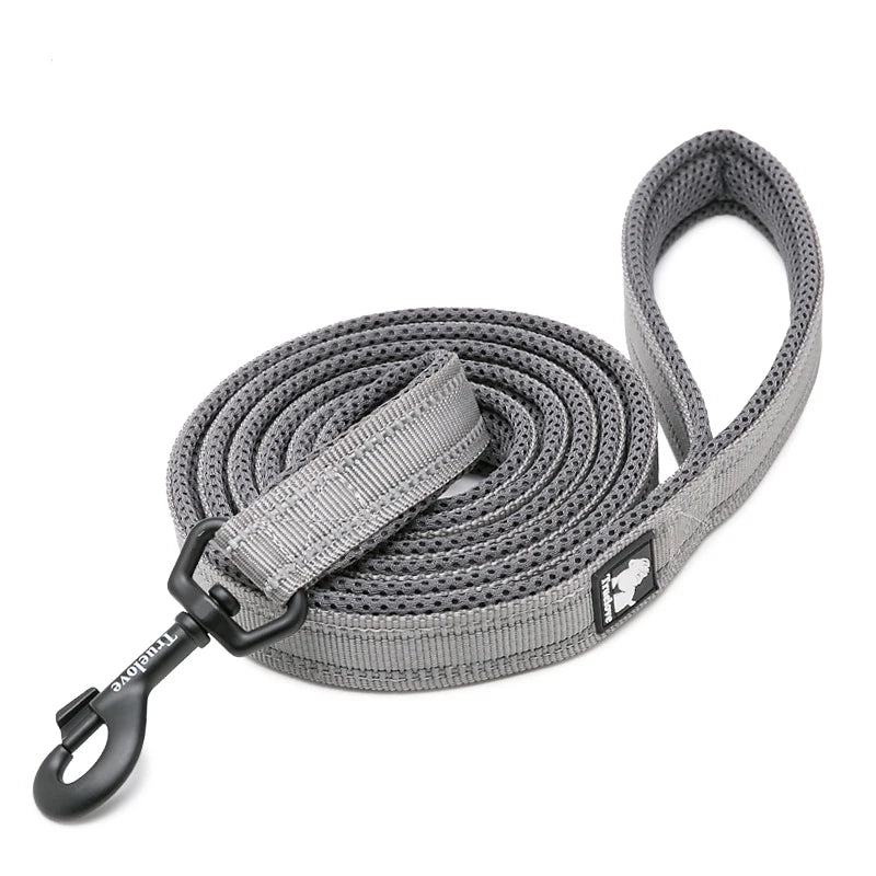 Winhyepet Luxury Padded Handle Reflective Nylon Dog Leash