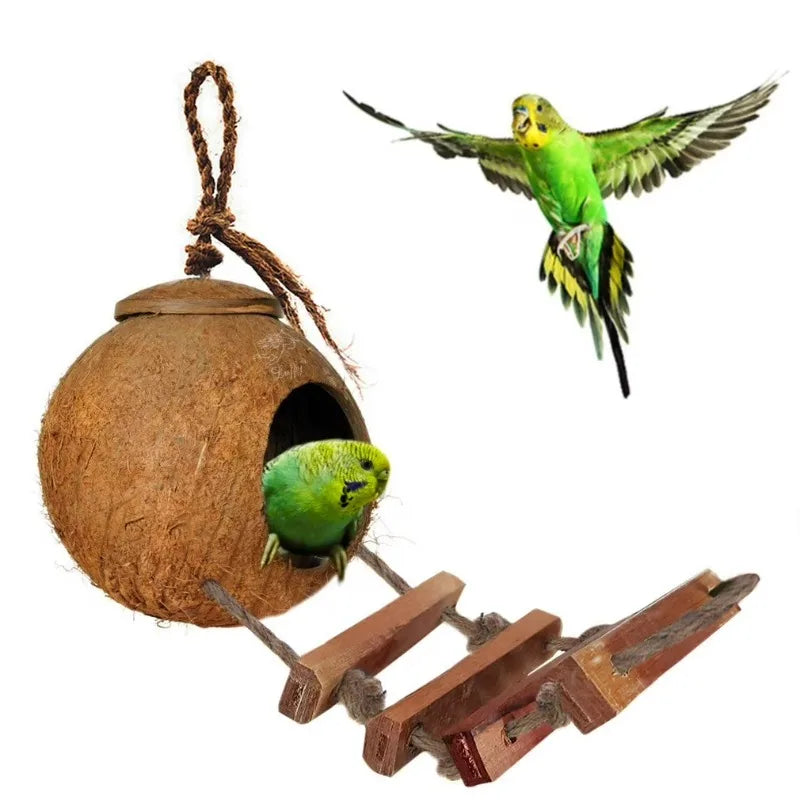 Coconut Shell Hanging Bird House With Ladder And Treat Holder
