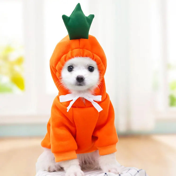 Cute Fruit Frog Pet Hoodie Costume for Dogs and Cats