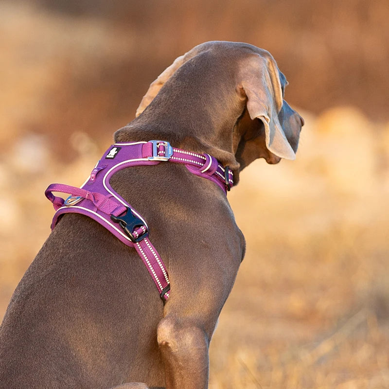 Winhyepet Reflective Dog Training Vest With Nylon Padding