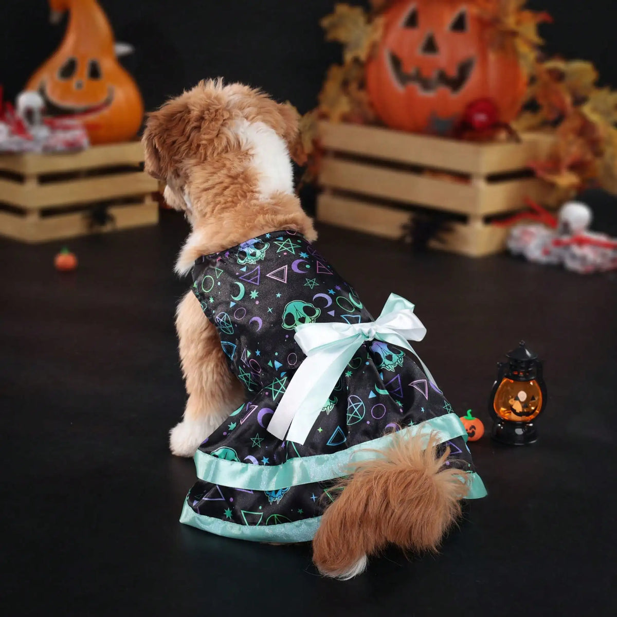 Halloween Pet Dog Dress With Pumpkin Skull Print Bowknot