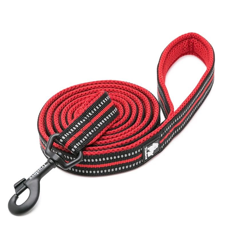 Winhyepet Luxury Padded Handle Reflective Nylon Dog Leash