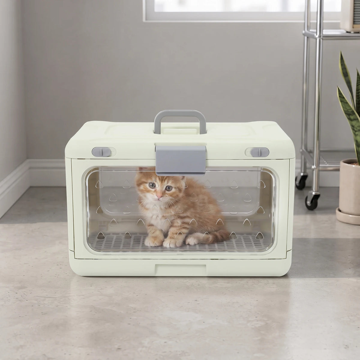 Light Green Foldable Pet Carrier, Hard PP Iron Portable Pet Cage with Breathable Holes & Clear View, 50*32*31cm/19.69*12.6*12.2in Unfolded, Internal Load 20kg/44.09lbs, for Cats Small Dogs Travel