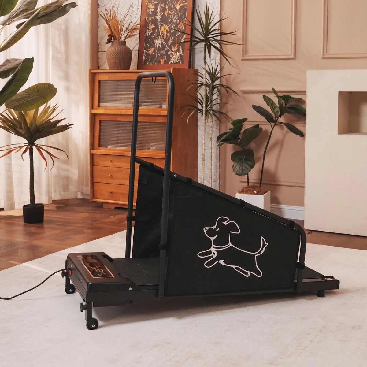 Indoor Dog And Cat Treadmill For Running And Exercise