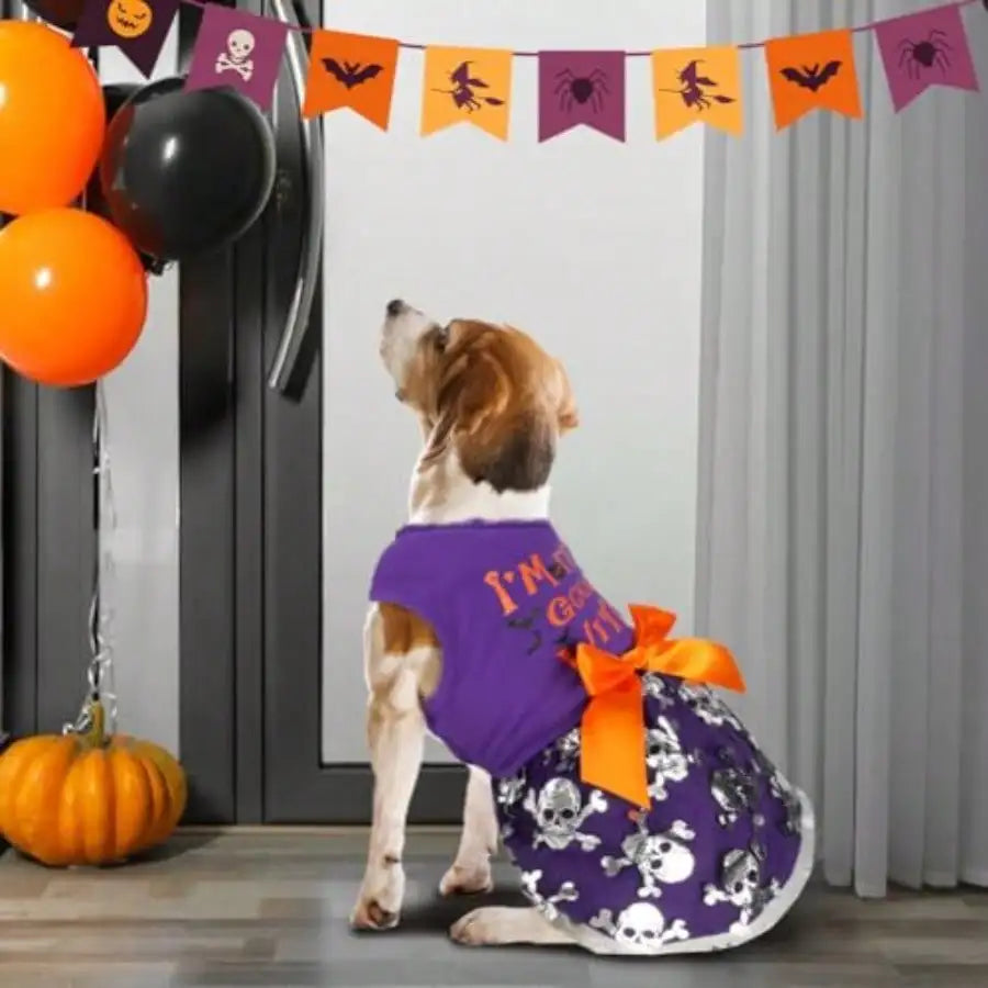 Funny Witch Dog Halloween Costume Dress With Bow For Pets