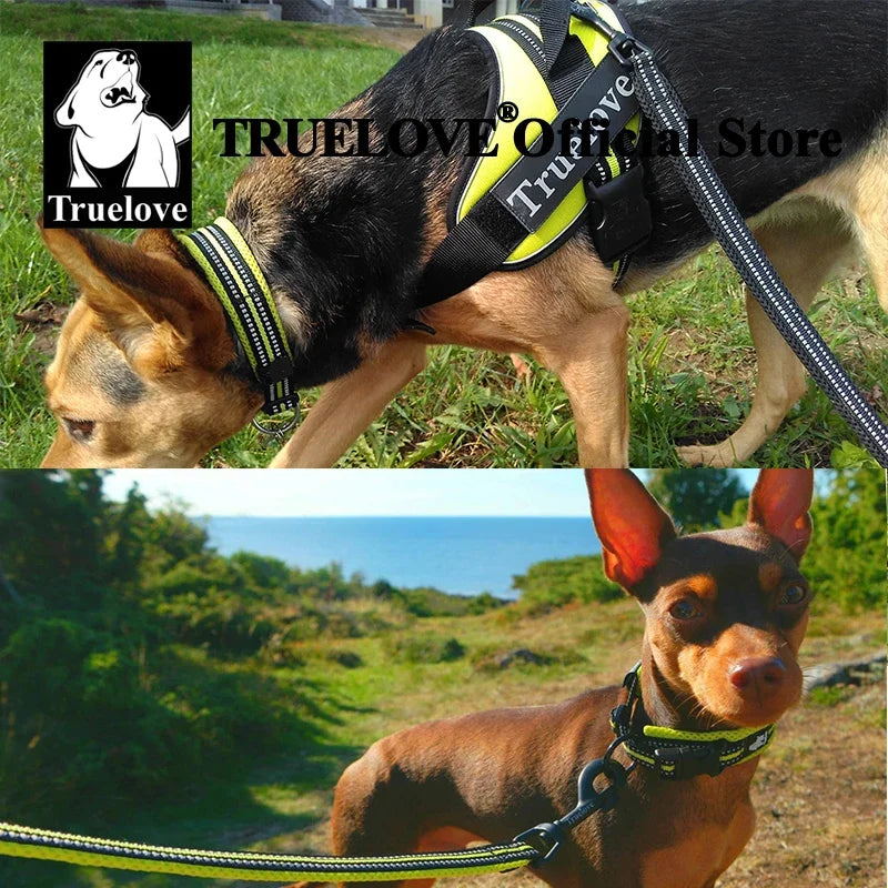 TrueLove Pet Collar Nylon Adjustable Padded Reflective Heavy Duty Luxury