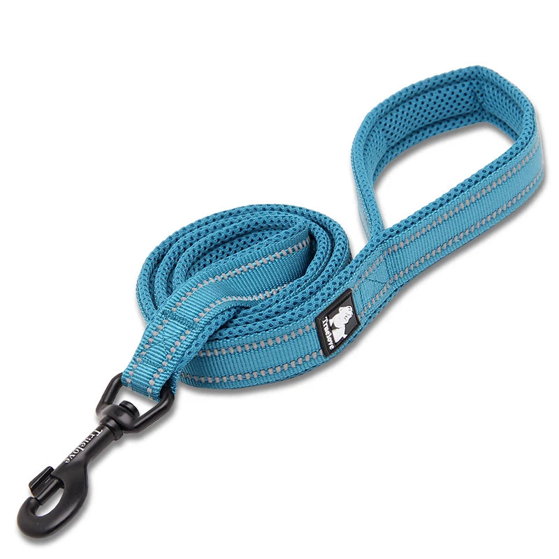Winhyepet Luxury Padded Handle Reflective Nylon Dog Leash