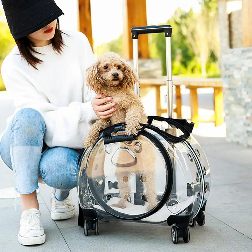 Portable Pet Carrier Backpack With Clear Ventilation And Silent Wheels