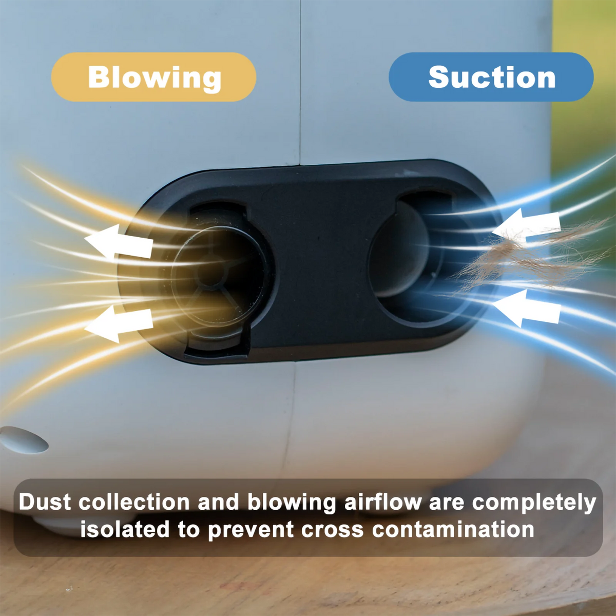 Professional 5 In 1 Pet Grooming Vacuum Dryer Trimmer Kit