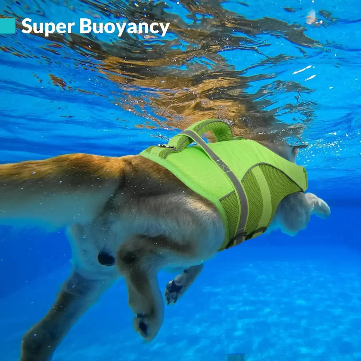 Bxx High Buoyancy Mesh Dog Life Jacket With Rescue Handle