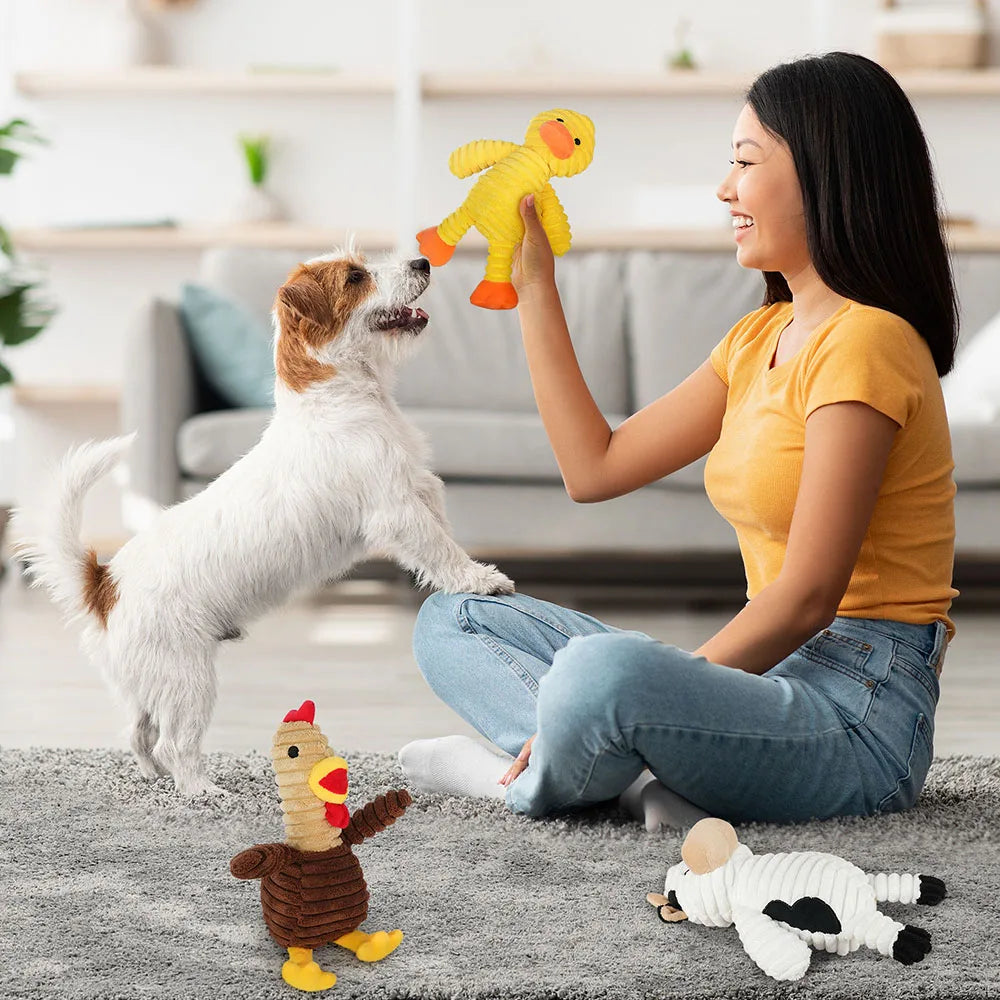 Plush Squeaky Dog Toys Assortment Soft Chew Collection