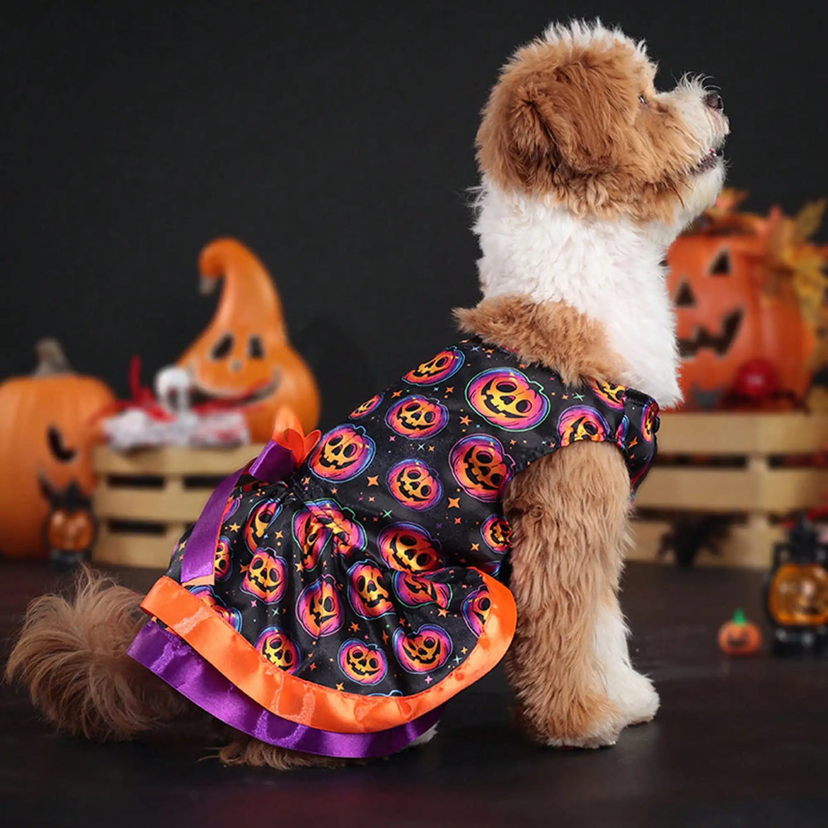 Halloween Dog Dress With Pumpkin And Skull Print Bowknot