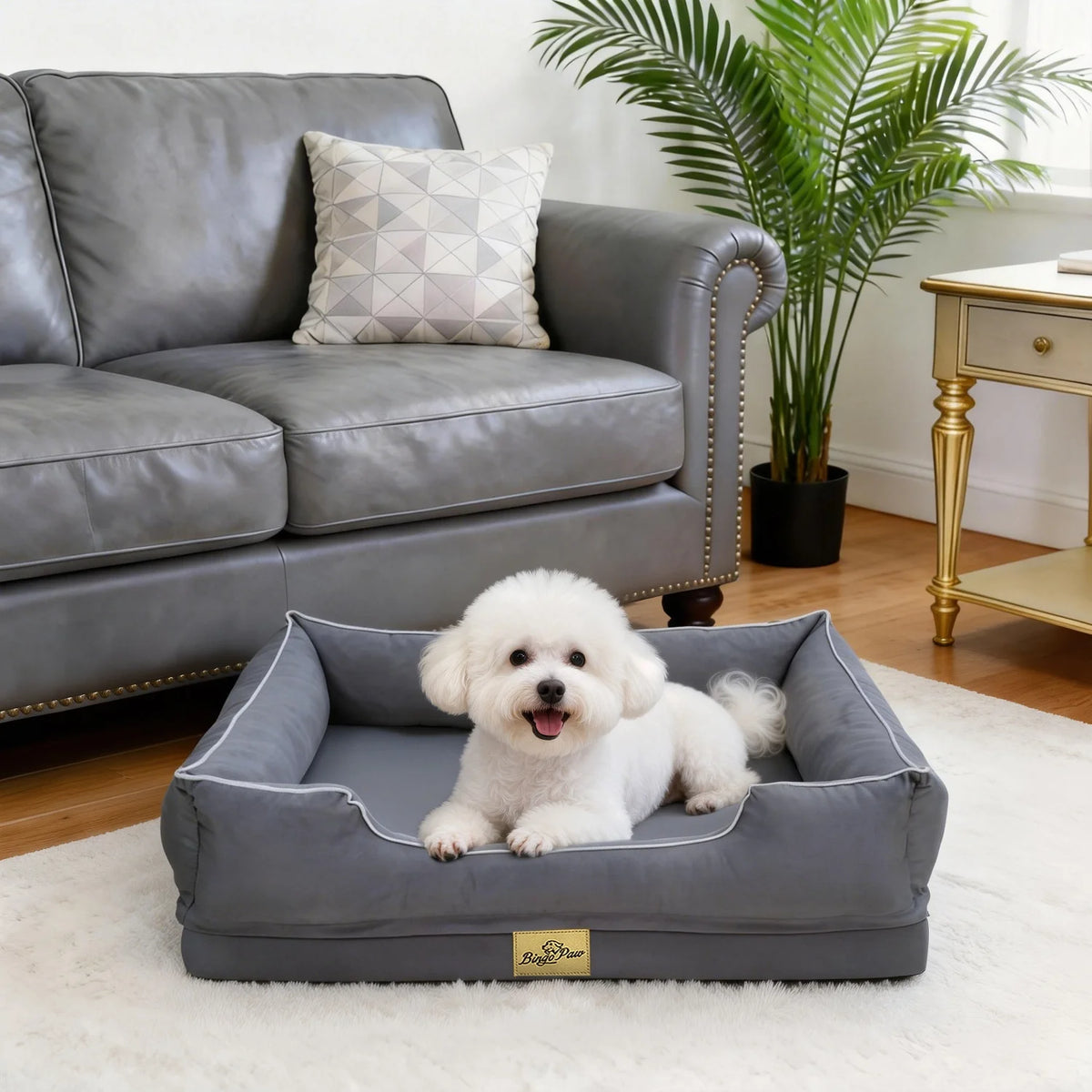 Bingopaw Orthopedic Dog Bed With Removable Foam Base Cover