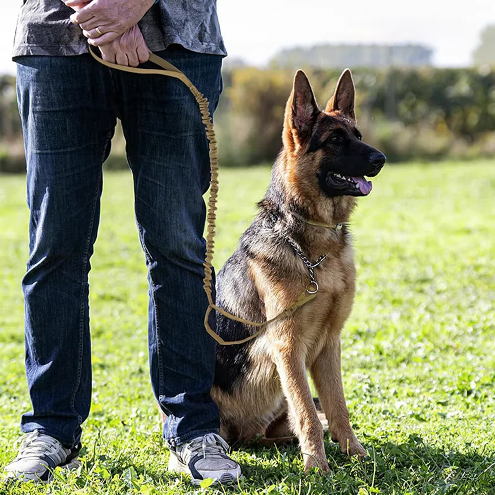 Petra vel Adjustable Dual Handle Quick Release Nylon Dog Leash