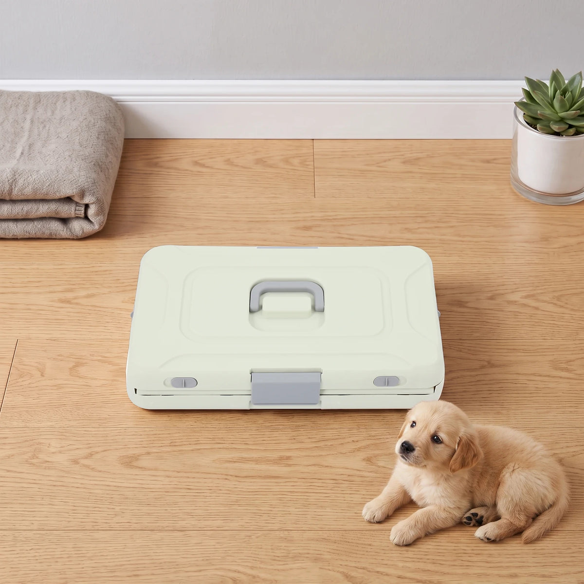Light Green Foldable Pet Carrier, Hard PP Iron Portable Pet Cage with Breathable Holes & Clear View, 50*32*31cm/19.69*12.6*12.2in Unfolded, Internal Load 20kg/44.09lbs, for Cats Small Dogs Travel
