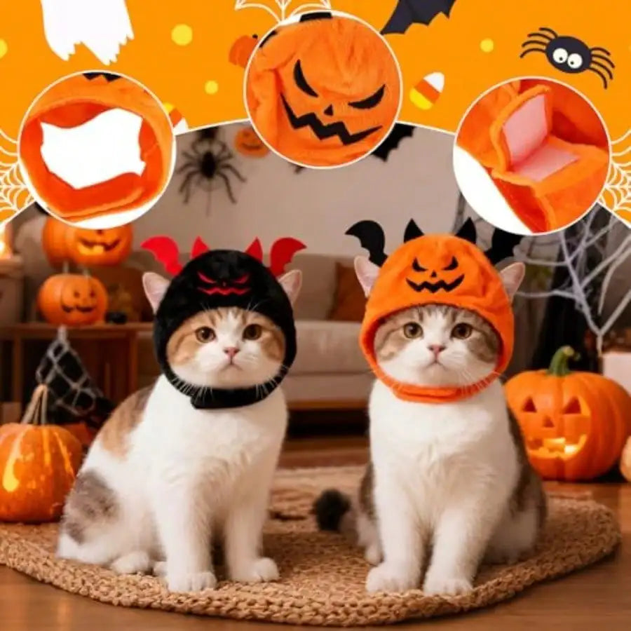 Halloween Cat Costume Set With Pumpkin, Bat And Festive Scarves