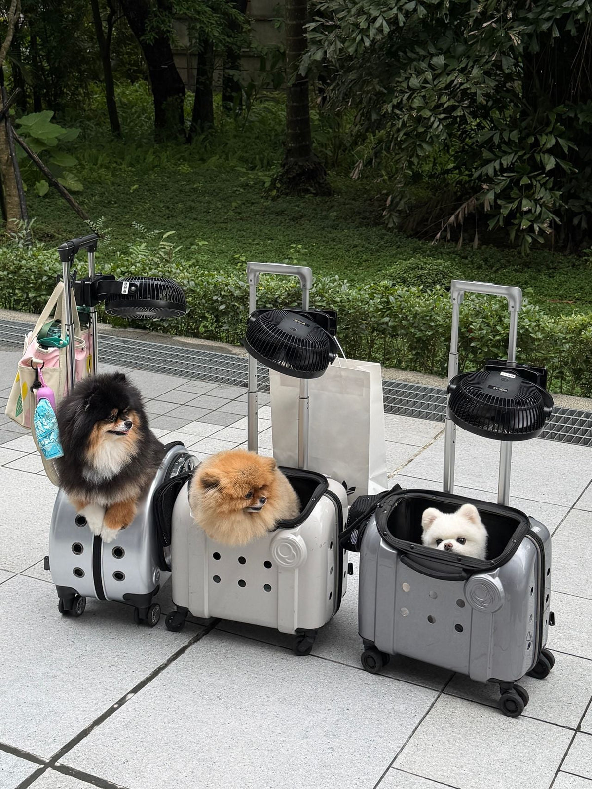 Travel Care