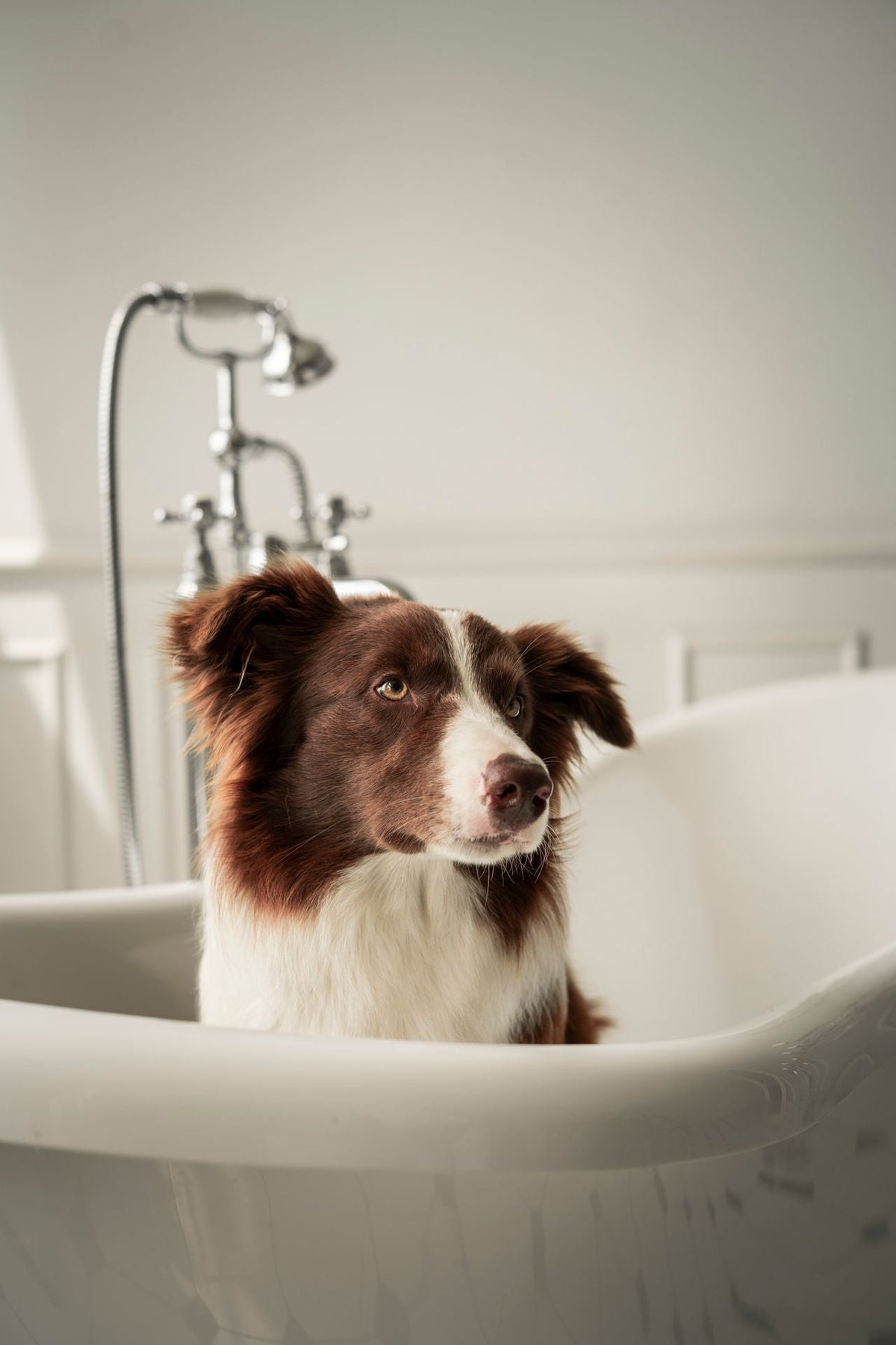 Hygiene