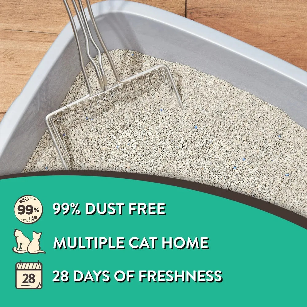Special Kitty Scoopable Clumping Cat Litter Fresh Scent 20lb