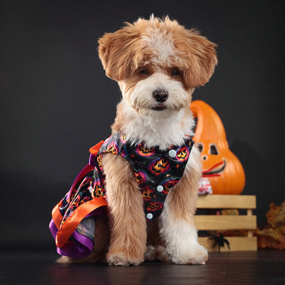 Halloween Dog Dress With Pumpkin And Skull Print Bowknot