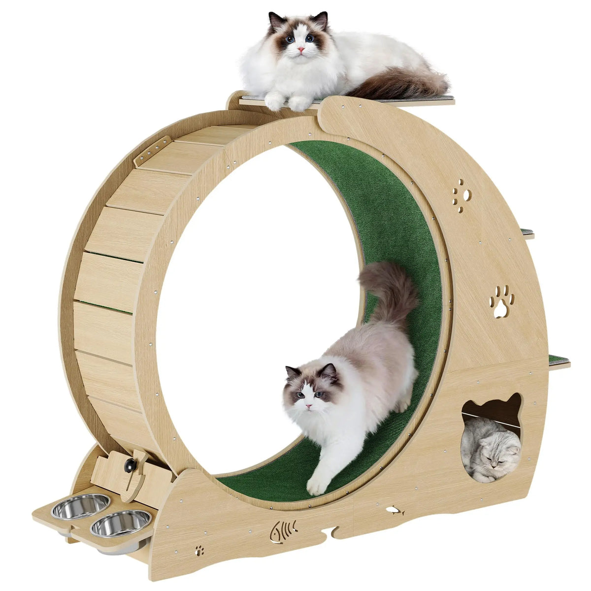HiMISS 6in1 Cat Exercise Wheel Quiet With Bowls Scratch Post