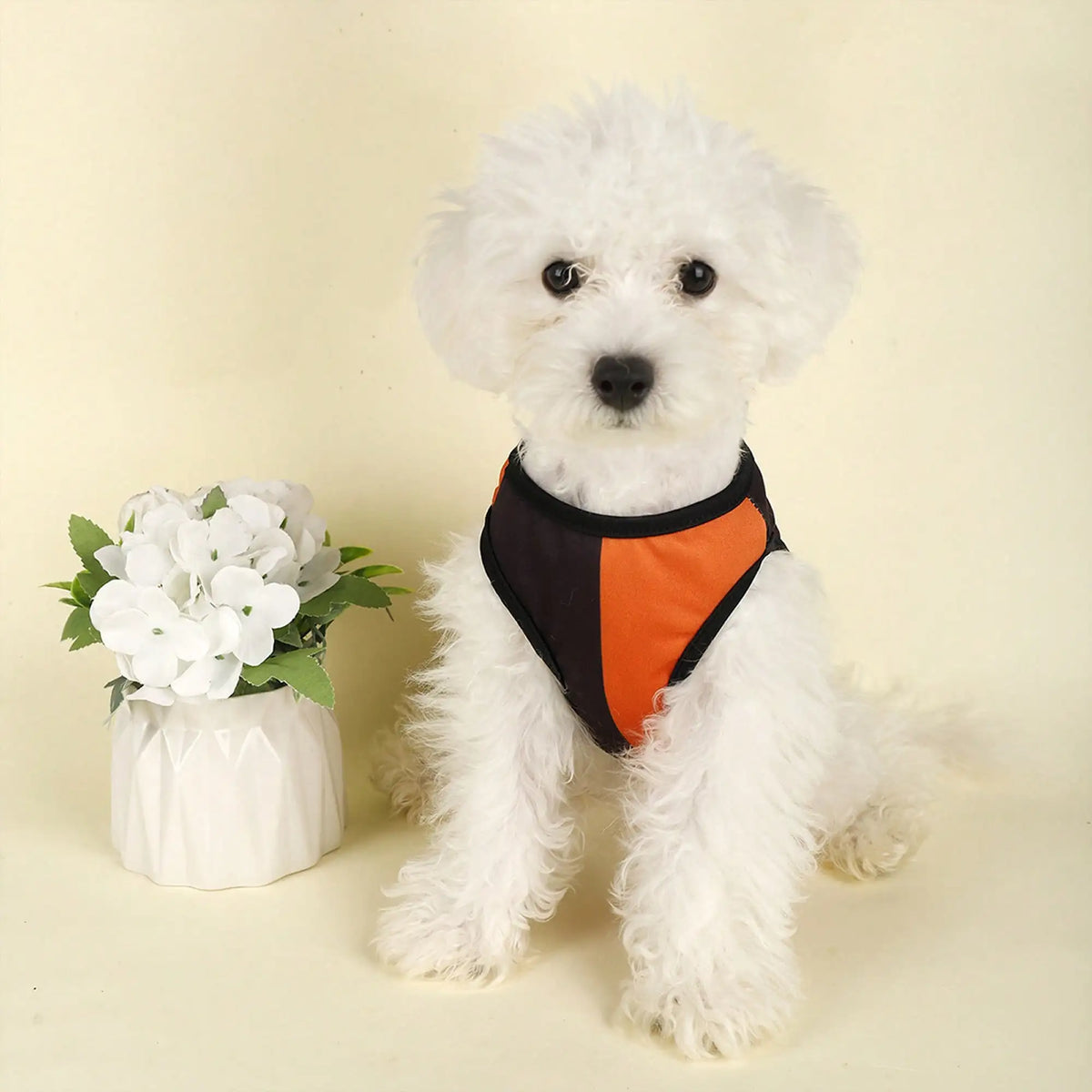 Funny Pumpkin Print Dog Shirt Holiday Festival Party Costume Apparel