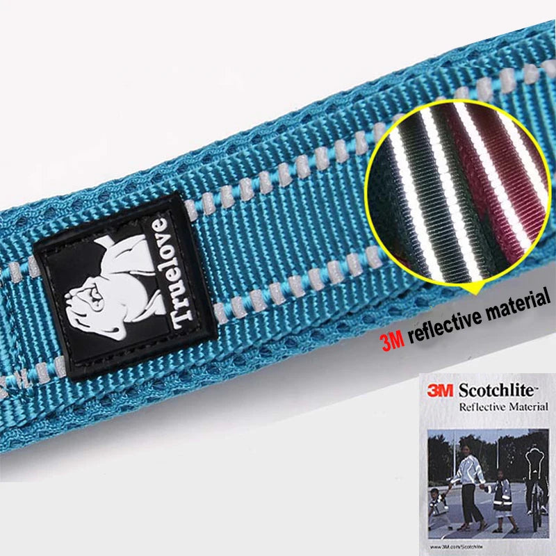 Winhyepet Luxury Padded Handle Reflective Nylon Dog Leash