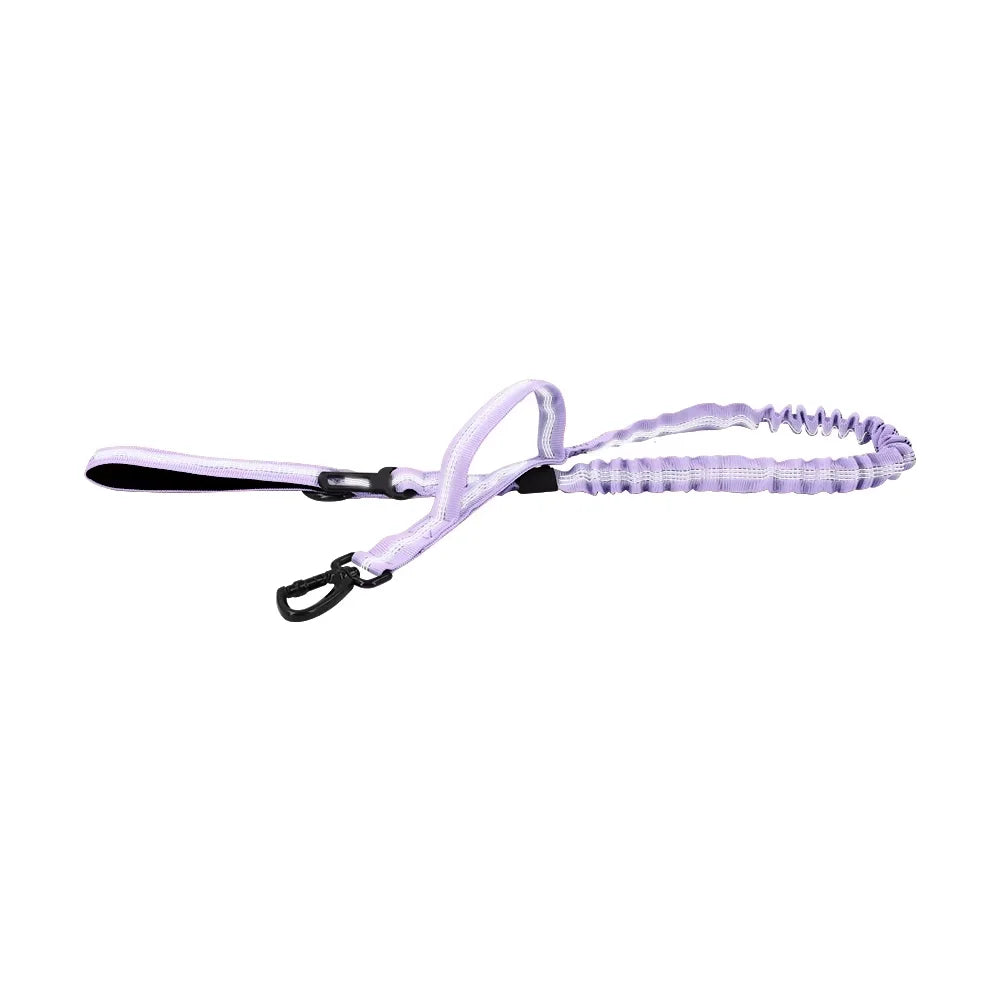 Petra vel Adjustable Dual Handle Quick Release Nylon Dog Leash