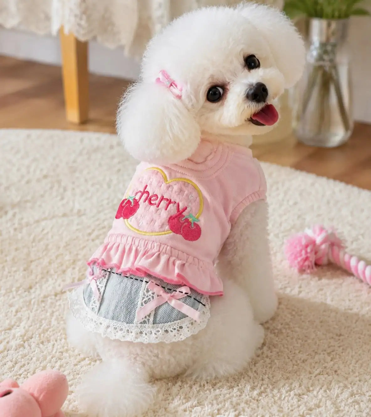 Small Dog Denim Skirt Vest Outfit for Outdoor Walks and Travel
