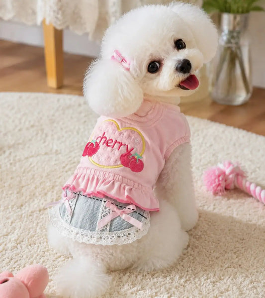 Small Dog Denim Skirt Vest Outfit for Outdoor Walks and Travel
