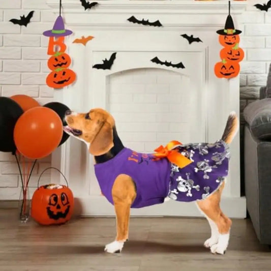 Funny Witch Dog Halloween Costume Dress With Bow For Pets