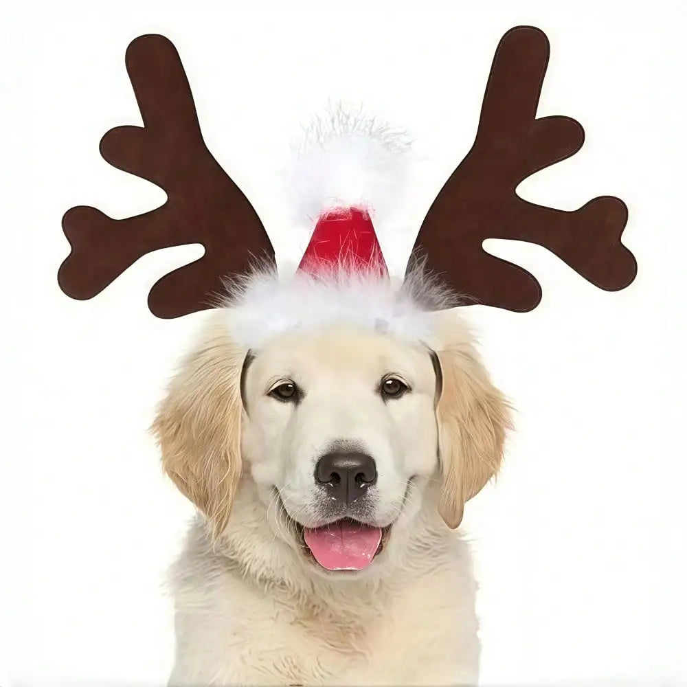 Halloween Ghost Pet Cape And Reindeer Antlers Headband Costume Set