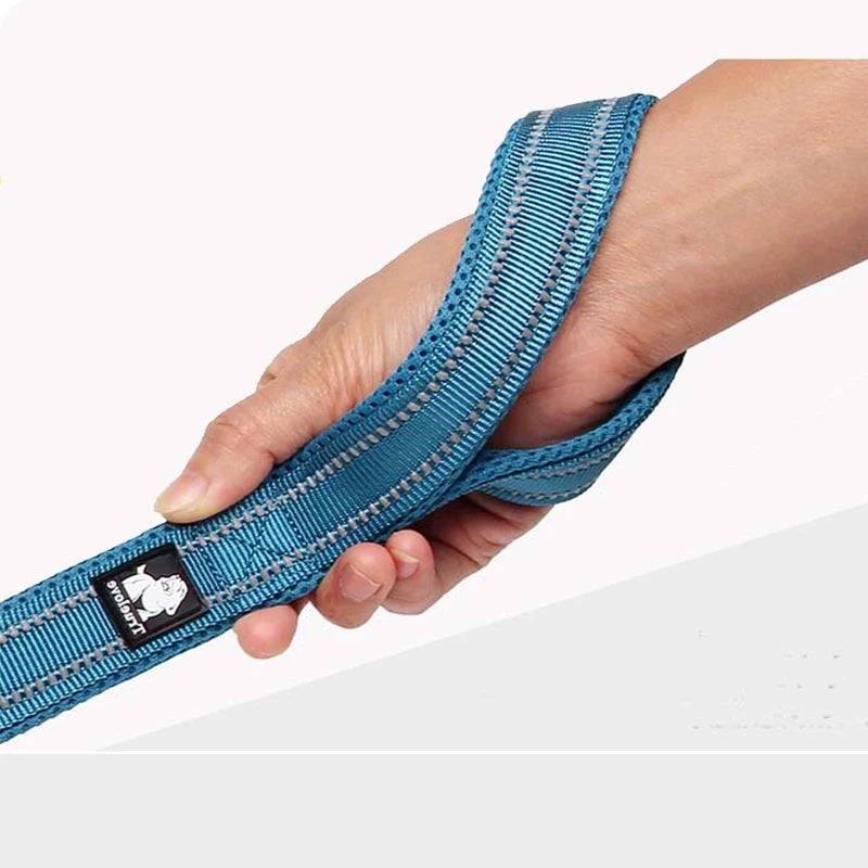 Winhyepet Luxury Padded Handle Reflective Nylon Dog Leash