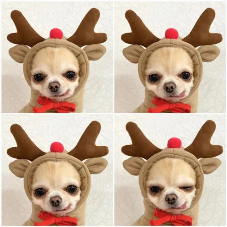 Cute Fruit Frog Pet Hoodie Costume for Dogs and Cats