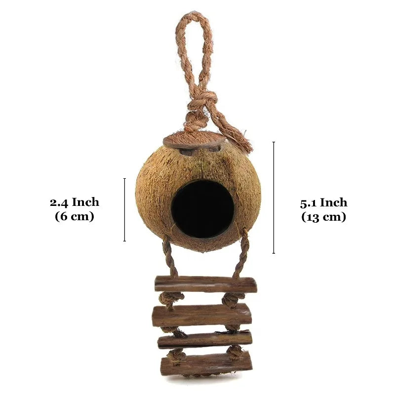 Coconut Shell Hanging Bird House With Ladder And Treat Holder